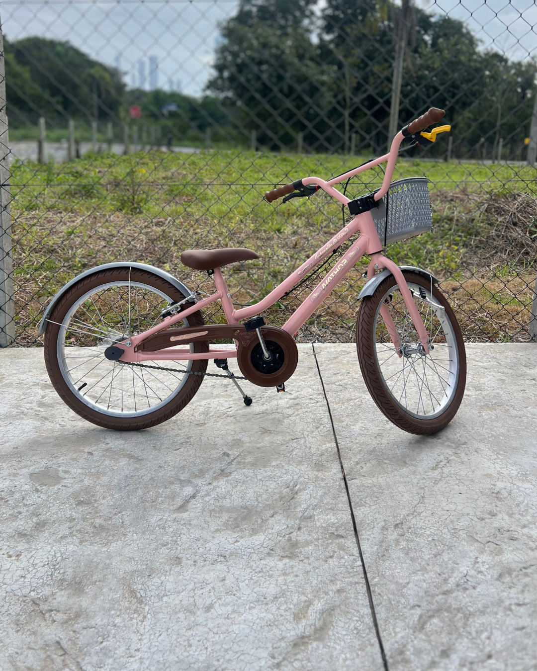 Bicicleta Aro 20 Antonella Teen Rosa (Retrô)
